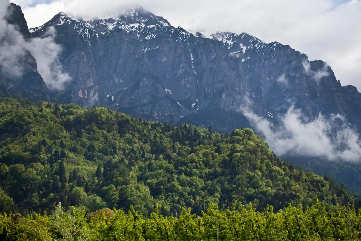 Panorama montano con alberi e nubi - Fotografia di Enrico Fantoni
