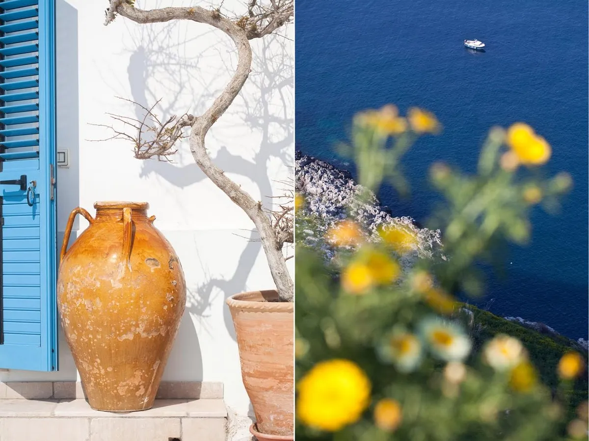 Vaso e fiori di case sud Italia - Fotografia di Enrico Fantoni