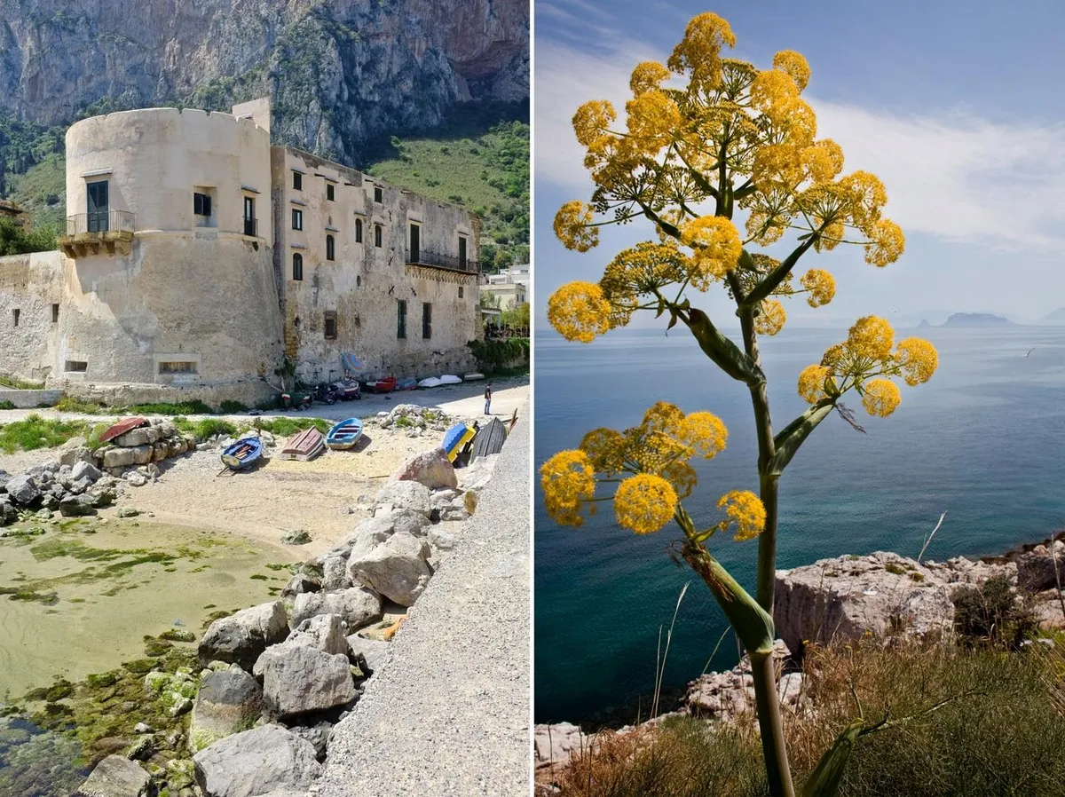 Vecchio castello diroccato con fiori gialli - Fotografia di Enrico Fantoni